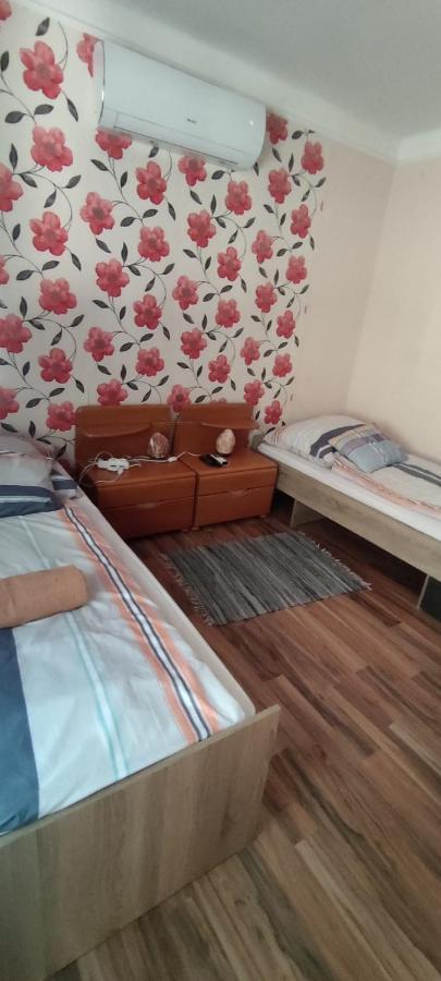 Orsi Apartman / Vendeghaz ケチケメート エクステリア 写真