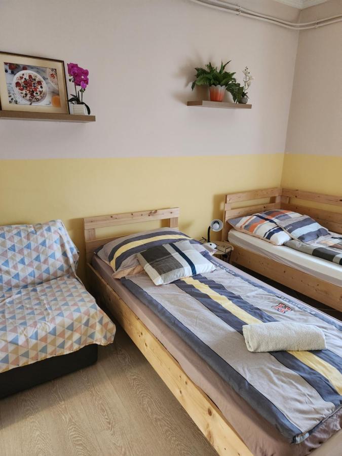 Orsi Apartman / Vendeghaz ケチケメート エクステリア 写真