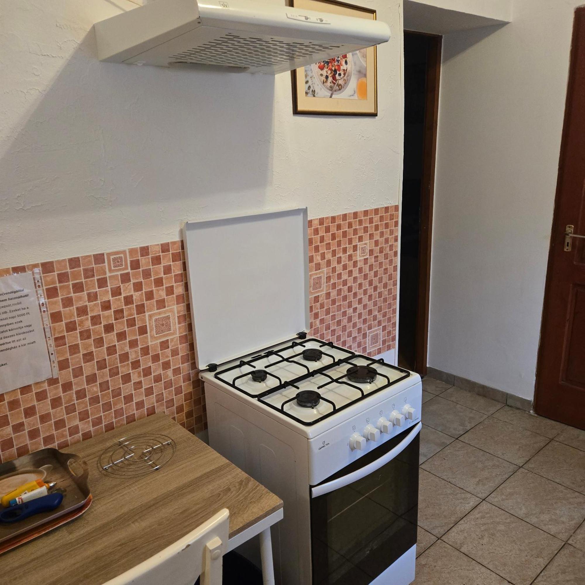 Orsi Apartman / Vendeghaz ケチケメート エクステリア 写真