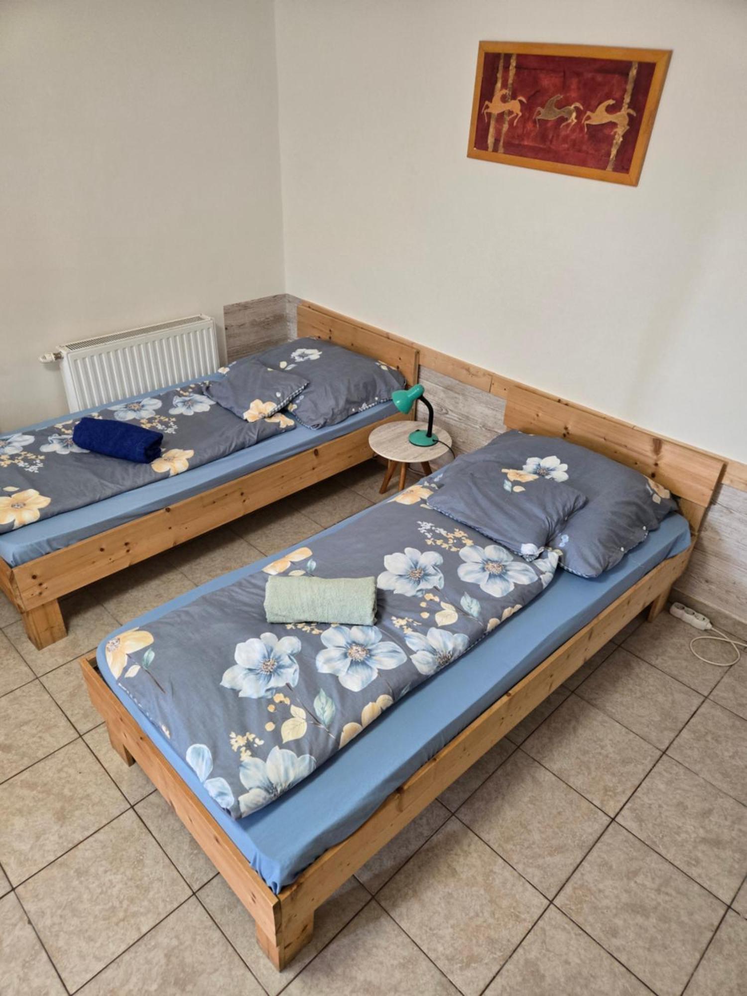Orsi Apartman / Vendeghaz ケチケメート エクステリア 写真