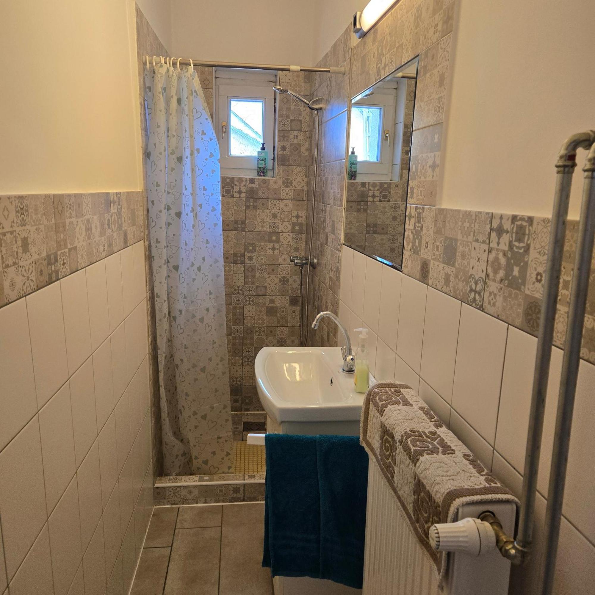 Orsi Apartman / Vendeghaz ケチケメート エクステリア 写真